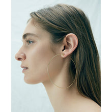 Load image into Gallery viewer, Icon Hoops - Large